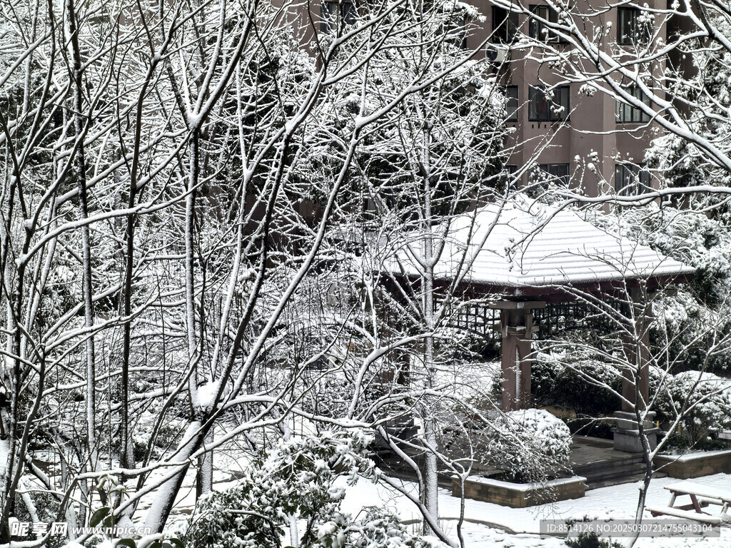 亭子雪景