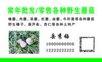 蘑菇名片