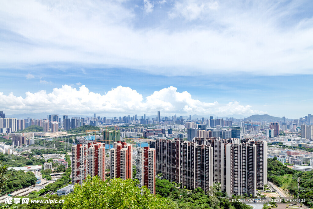 高楼大厦
