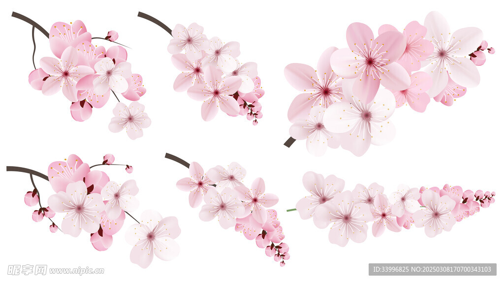 美丽的桃花矢量
