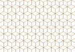金色正方体格子