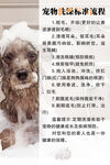 宠物洗澡