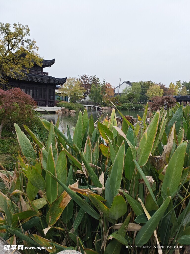 苏州虎丘