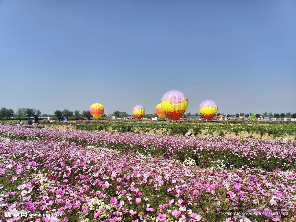 花海 