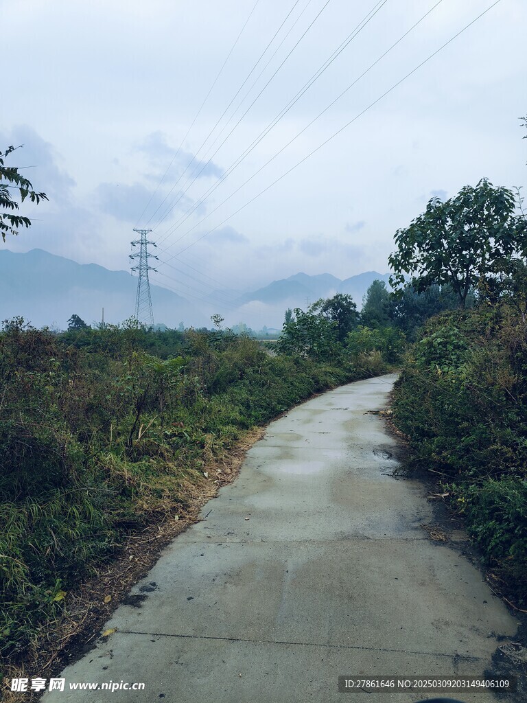 雨天 小路 