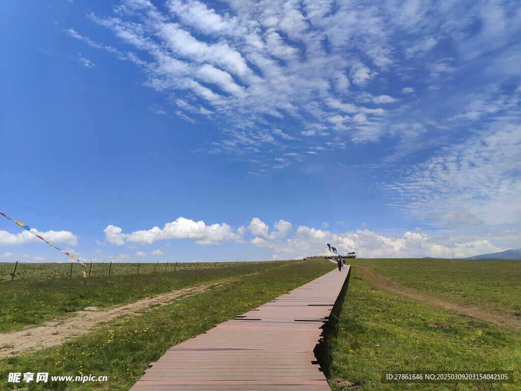 郭莽湿地草原