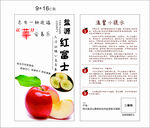 苹果小卡片