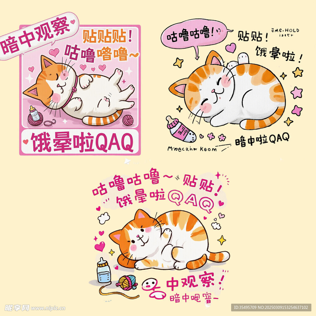 橘猫插图