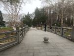 园林景观