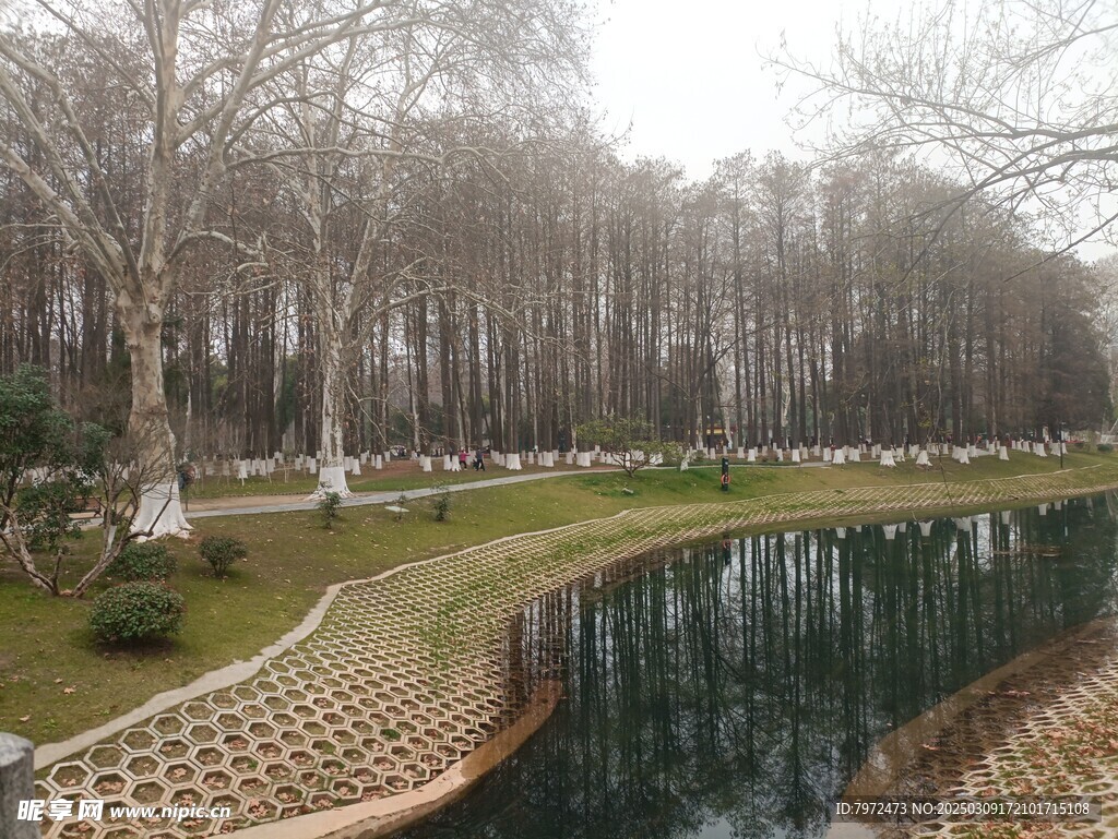 园林景观