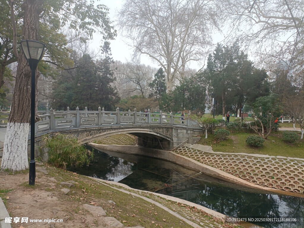 园林景观