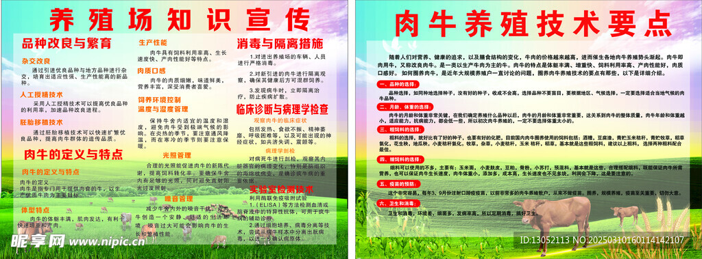 养牛场广告