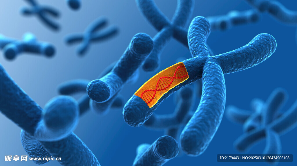 染色体 DNA 基因 医疗背景