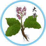 大黄
