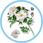 白芍