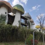 蘑菇建筑