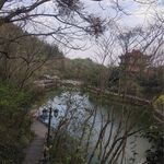 人工湖