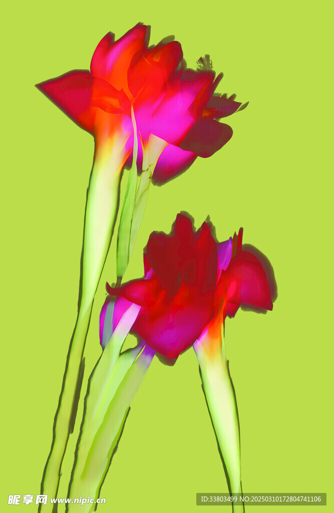 手绘花
