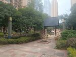 小区绿化