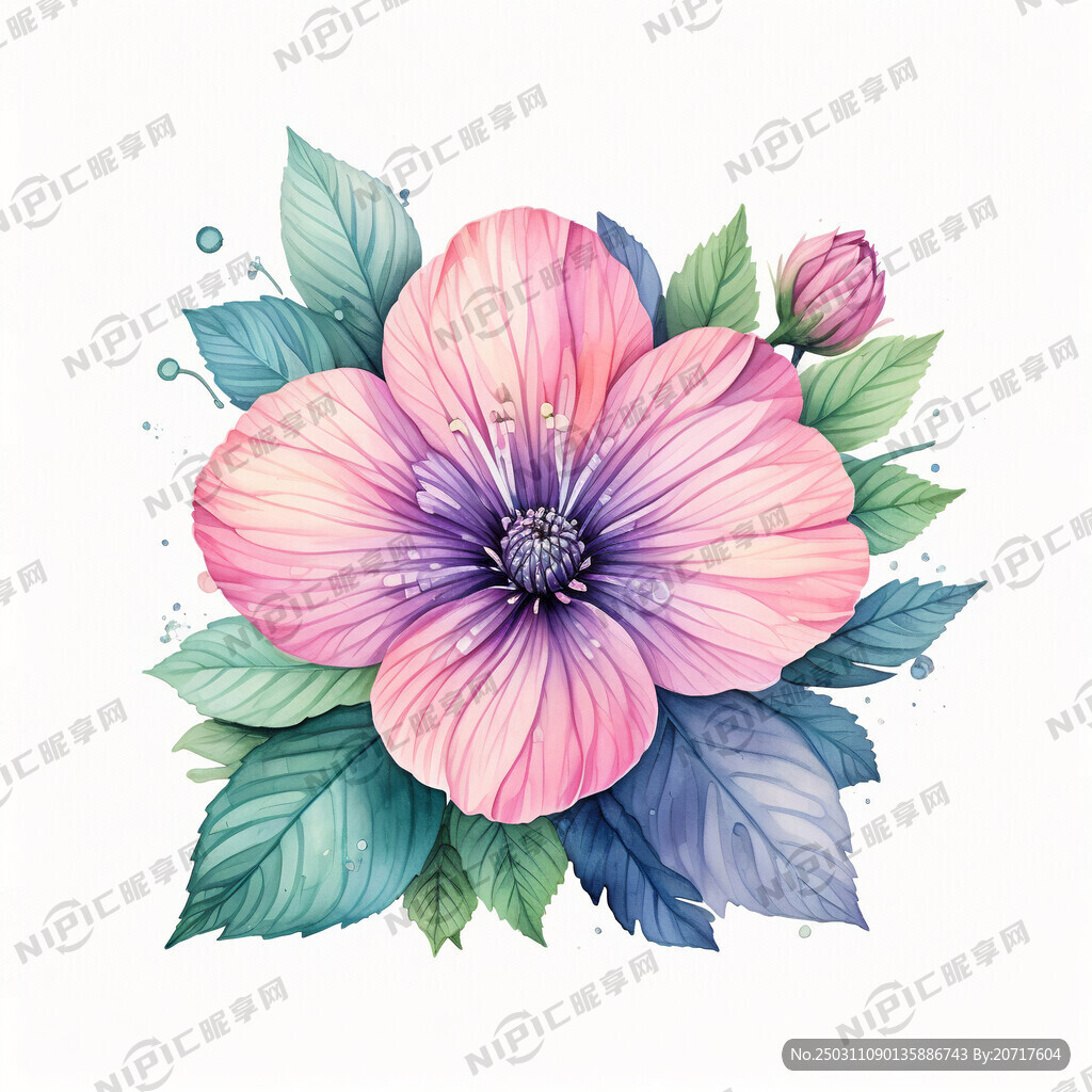 水彩风 浅色底 唯美 平面的花