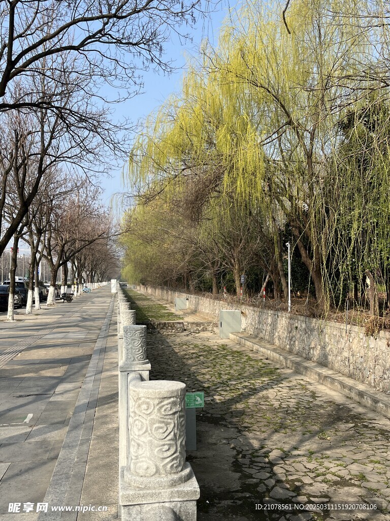 初春街景