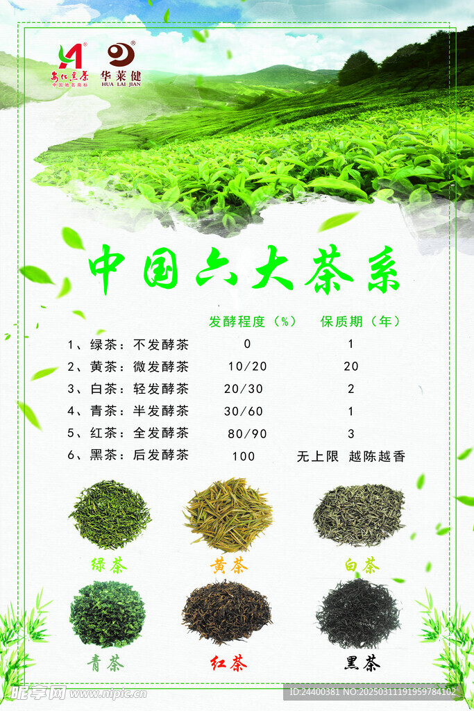 中国六大茶系