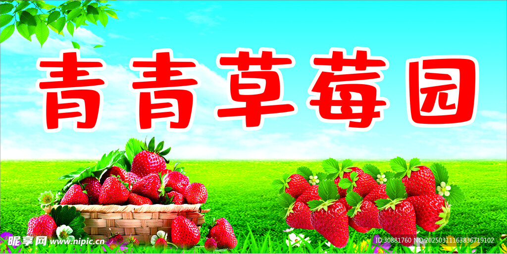 草莓海报