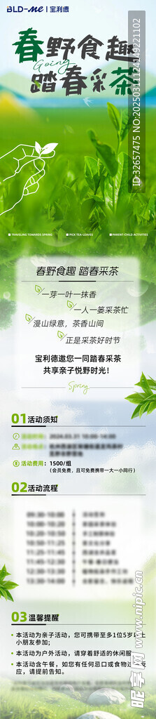 春季采茶长图