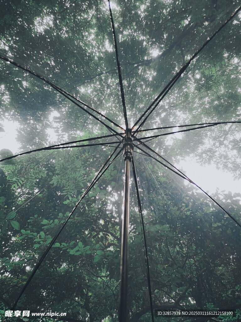 仰视伞外风光