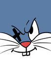 蓝猫