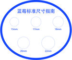 蓝莓标准尺寸