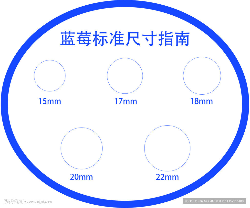 蓝莓标准尺寸