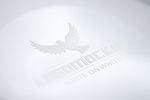 雾面logo效果