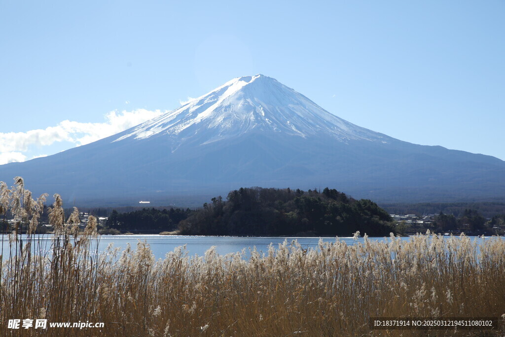 富士山