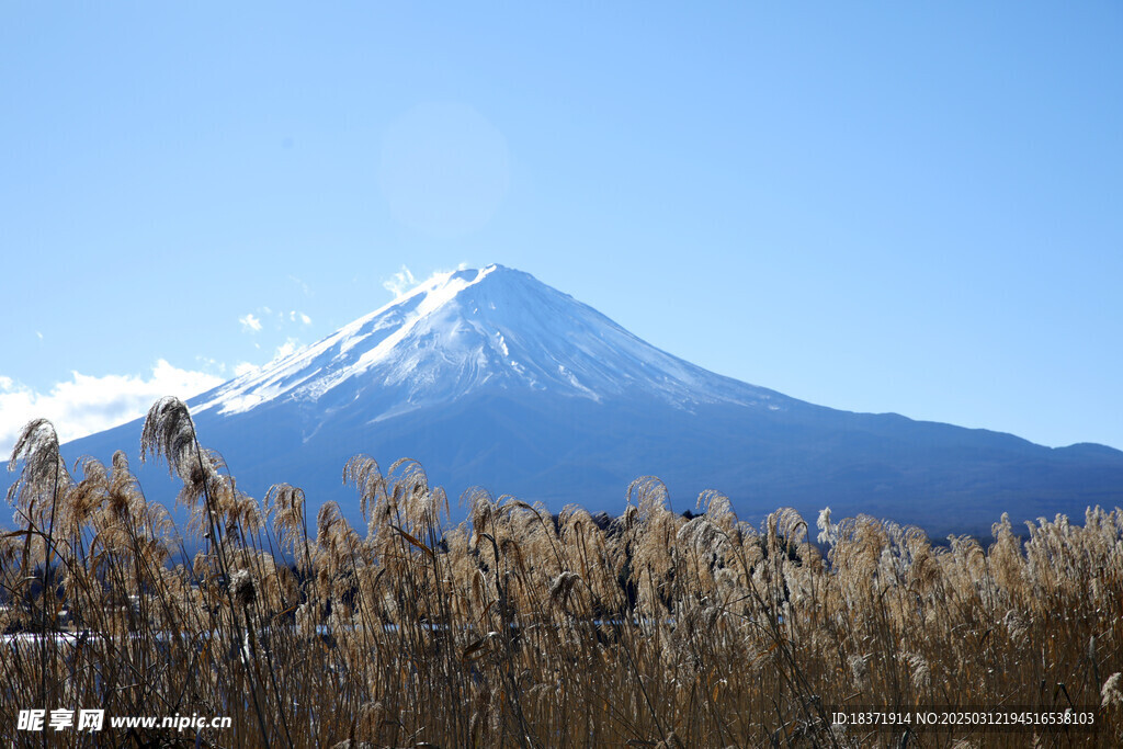 富士山