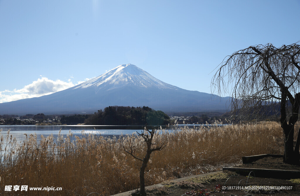 富士山