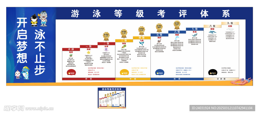 游泳等级考评体系