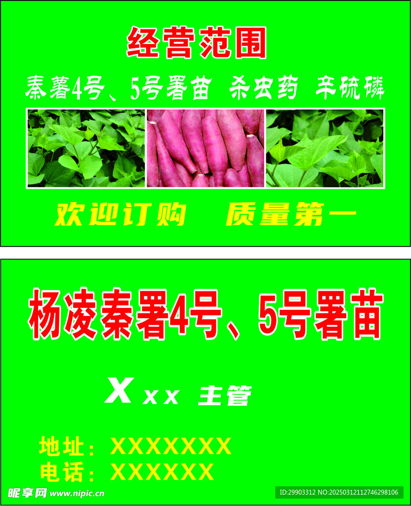 红薯
