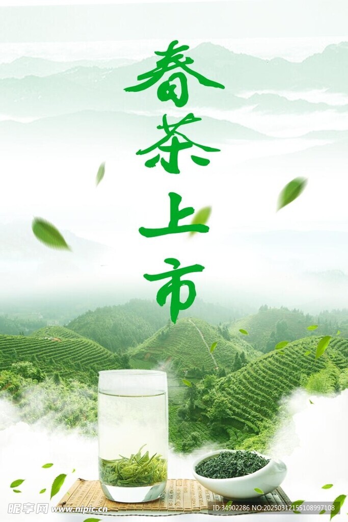 春茶上市