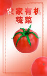 西红柿