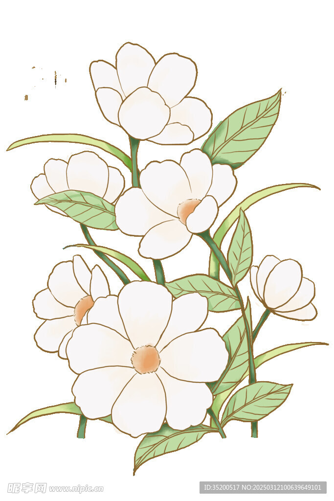 白色花朵手绘