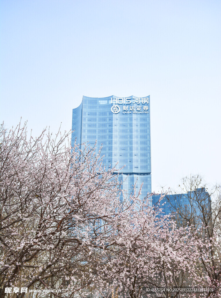 写字楼前山桃花开