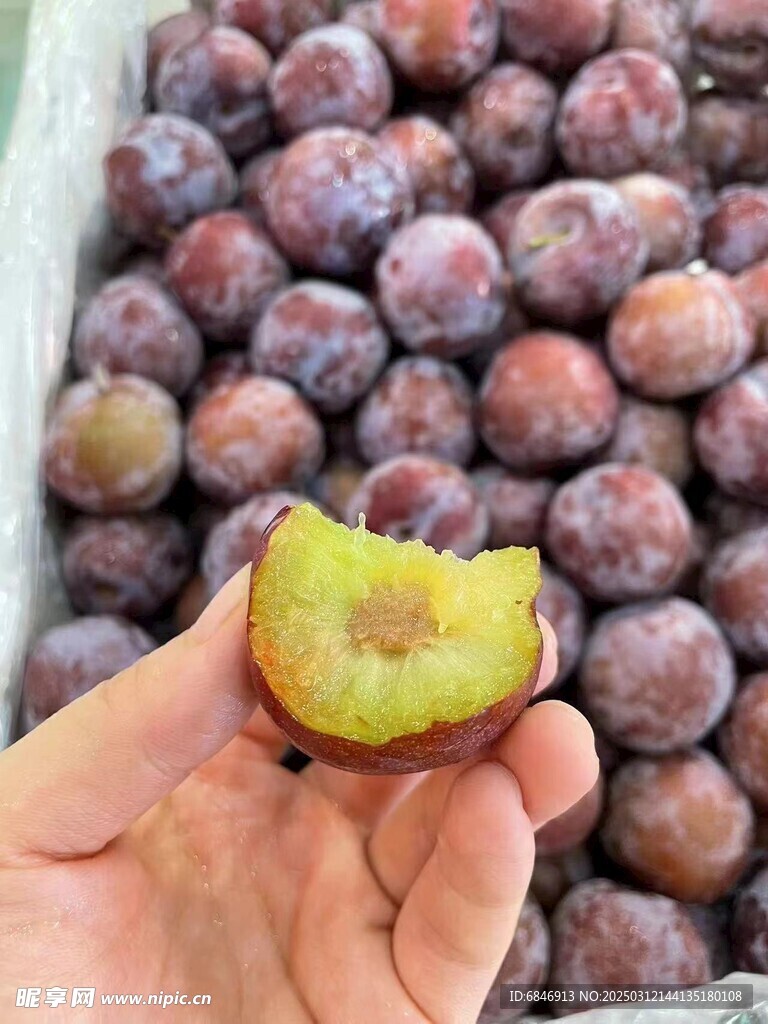 青红脆李特写