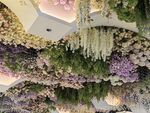 花团