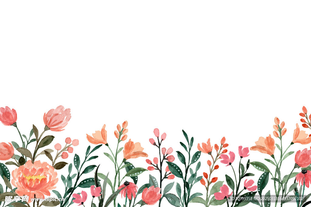 花朵边框