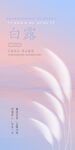 白露节气海报