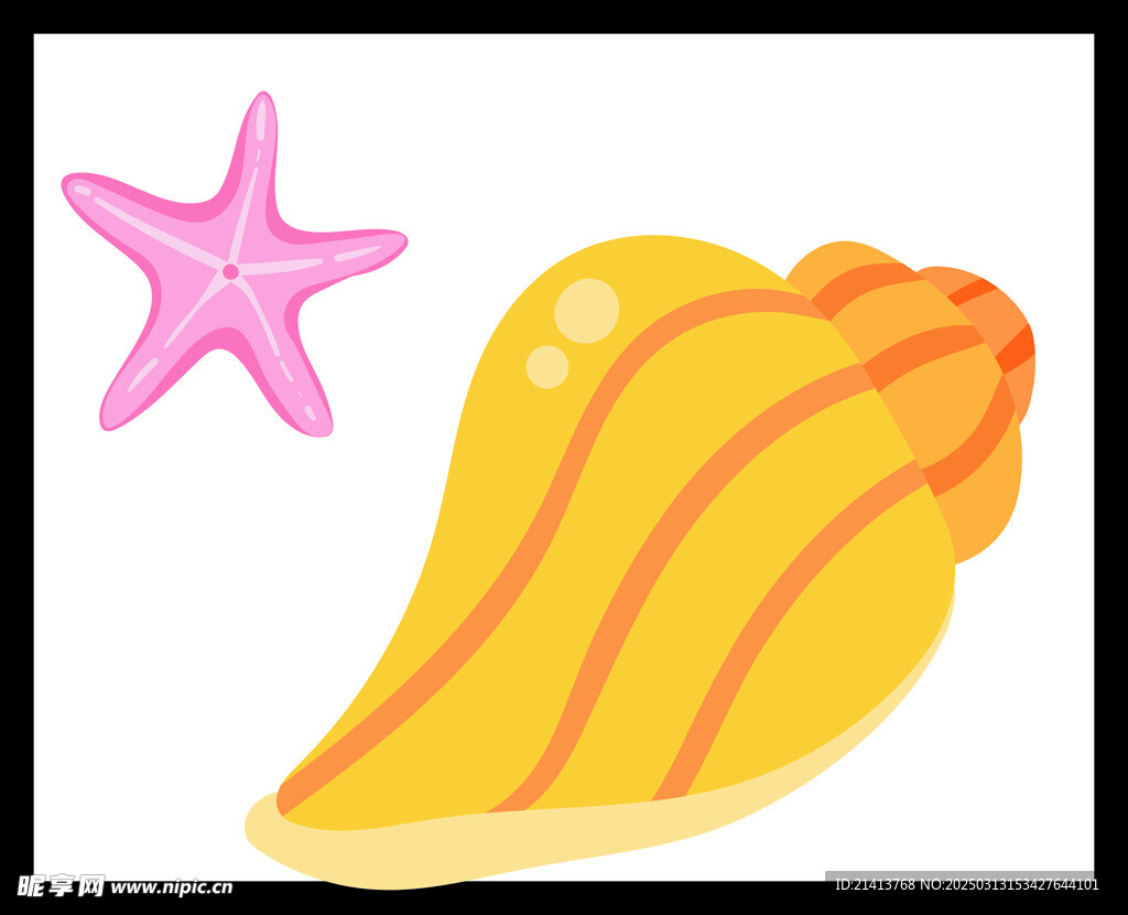 手绘海星海螺 