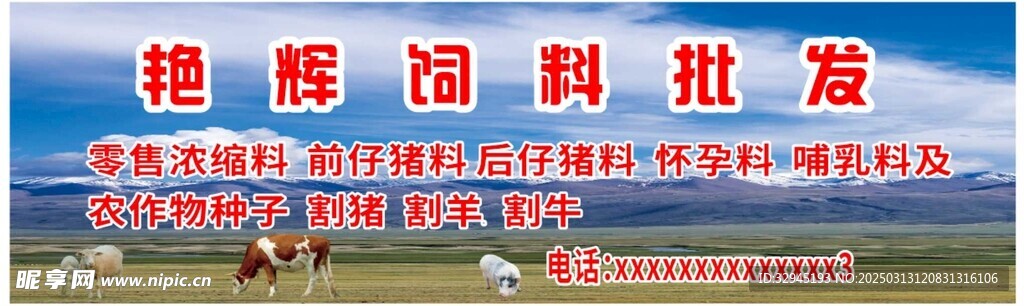 饲料