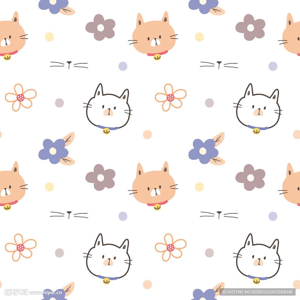 盒子猫