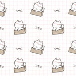 盒子猫